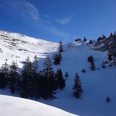 Nice And Cosy Flat Near Geneva Or Annecy Bellegarde-sur-Valserine Exteriör bild