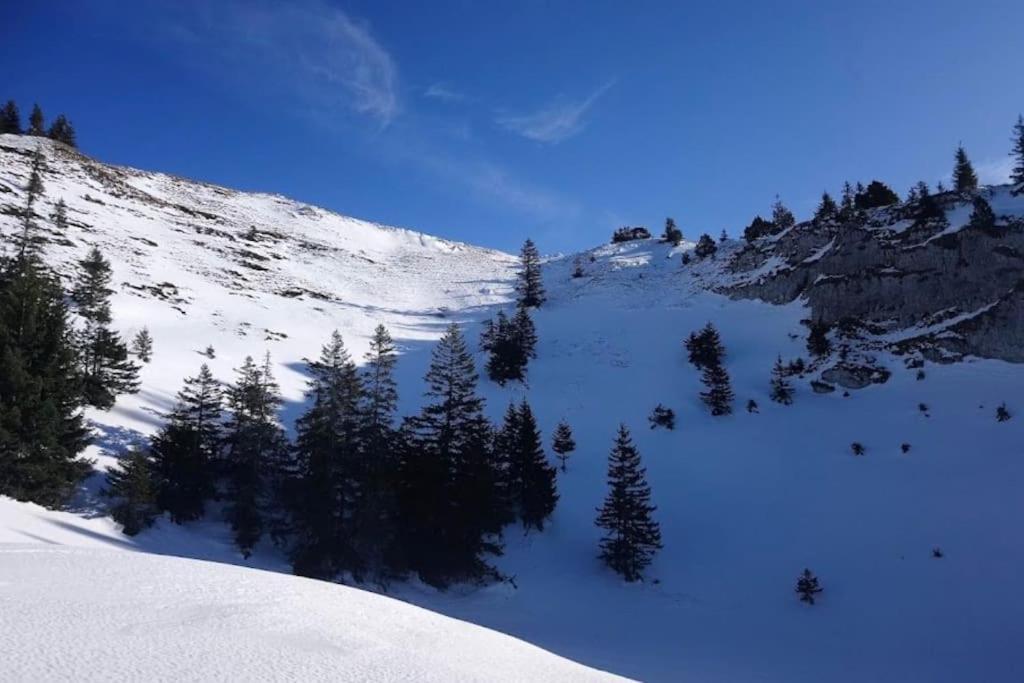 Nice And Cosy Flat Near Geneva Or Annecy Bellegarde-sur-Valserine Exteriör bild