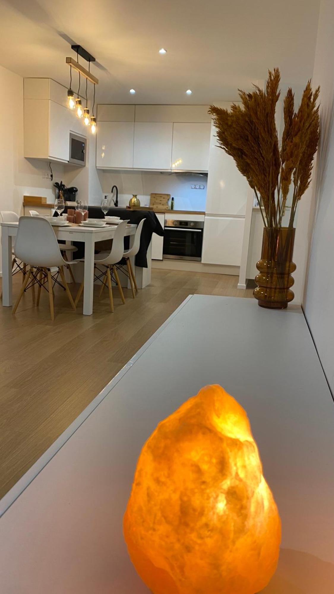 Nice And Cosy Flat Near Geneva Or Annecy Bellegarde-sur-Valserine Exteriör bild